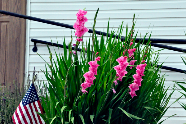 flowers at Blue Roack Baptist Church
